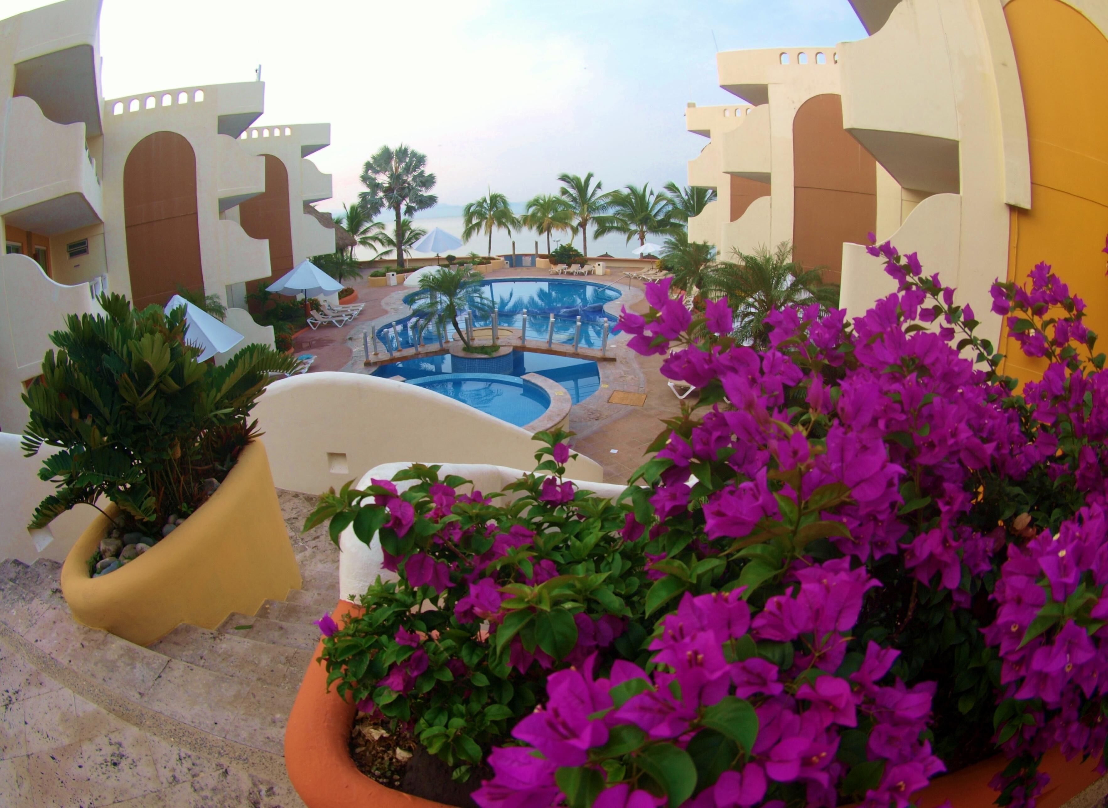 A pool area with a water slide, surrounded by palm trees and a view of the sea.