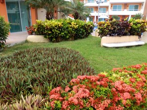 Sports facility - Starbay Resort (Bucerías)