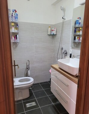 Shower, hair dryer, soap, toilet paper