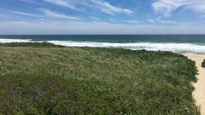 Eine Küstenlandschaft mit einer Wiese, die zum Strand und Meer führt.
