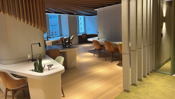 Een moderne kantoorruimte met een gebogen houten plafond, een centraal eiland met een cactus en een zithoek met houten stoelen.