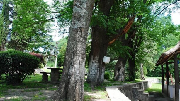 Un parque con árboles grandes, un banco de piedra y una pequeña construcción con techo.
