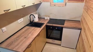 A compact kitchen with wooden cabinets, a sink, a stove, and a small refrigerator. - Old Story Chalets (Žabljak)