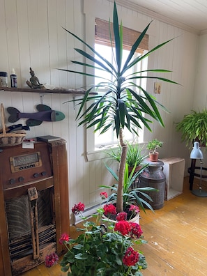 A room with a wooden floor, a vintage radio, a potted plant, a small table, and a window with blinds.