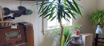Beautiful large house in Gaspésie, close to the sea. 5 min walk to the beach!