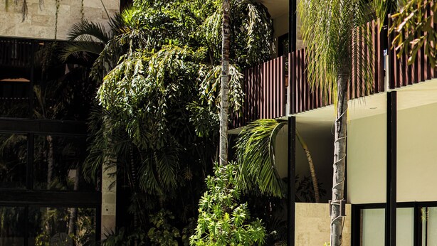 A pool area with lounge chairs, surrounded by lush greenery and modern architecture. - Palmares (Playa del Carmen)
