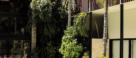 Una piscina al aire libre, sombrillas, tumbonas