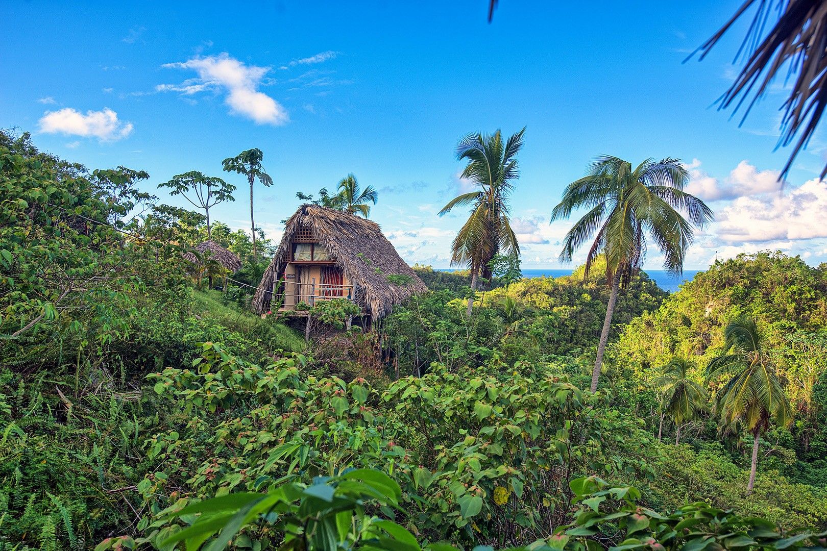 Une maison à toit de chaume, entourée d’une végétation tropicale luxuriante et de palmiers.