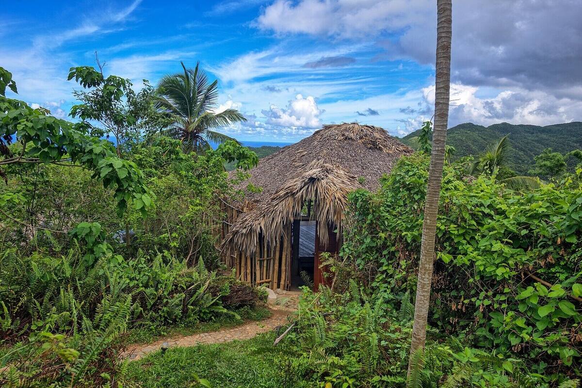 A rustic hut with a thatched roof surrounded by lush greenery and a clear blue sky.