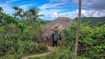 Bambulera | 免費無線上網