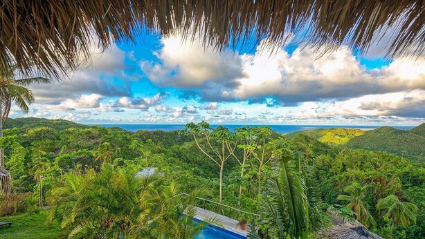 Un paysage tropical luxuriant avec une piscine et une vue sur l’océan.