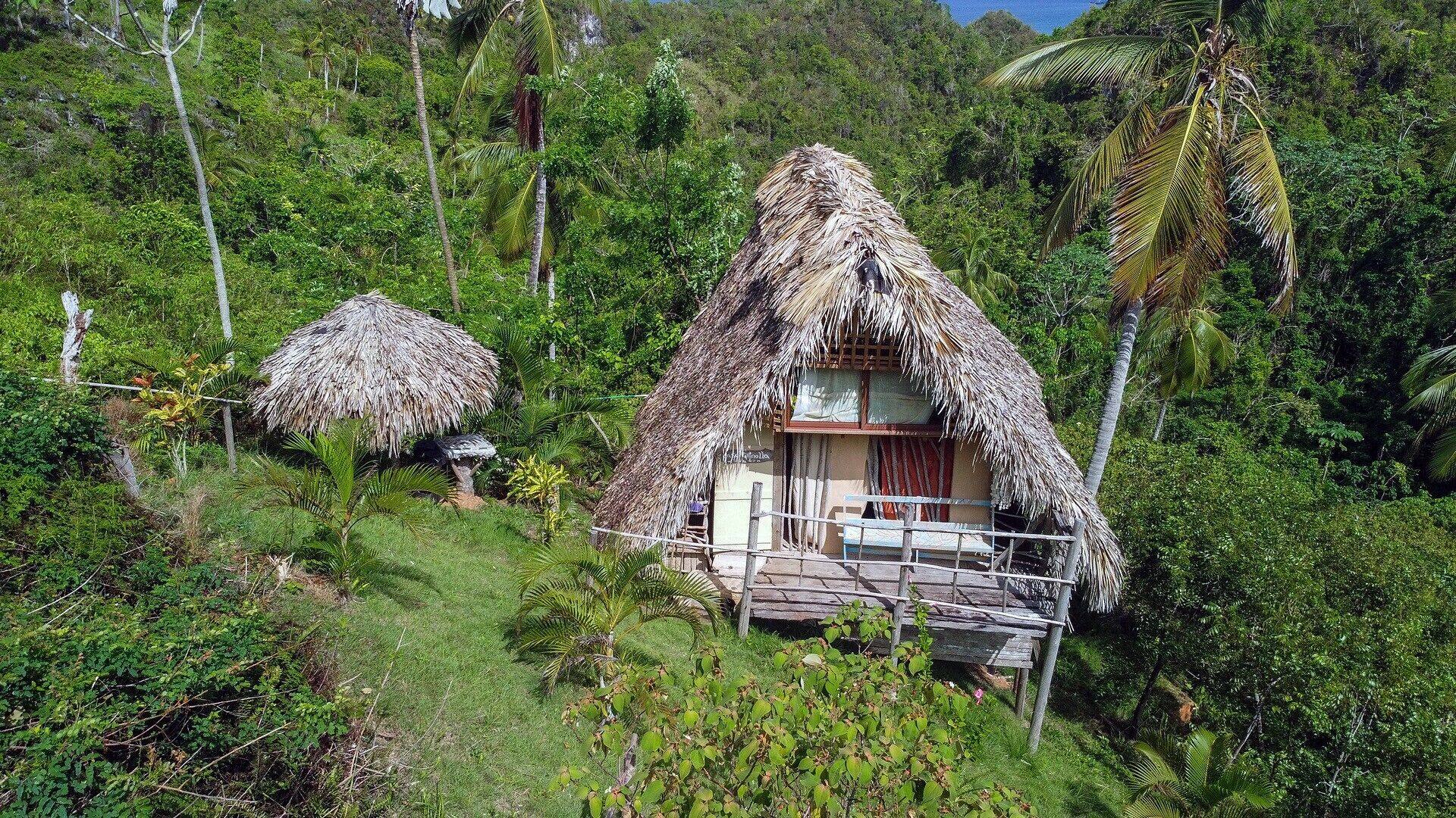 Een rieten huis met een balkon, omringd door weelderige begroeiing en palmbomen.