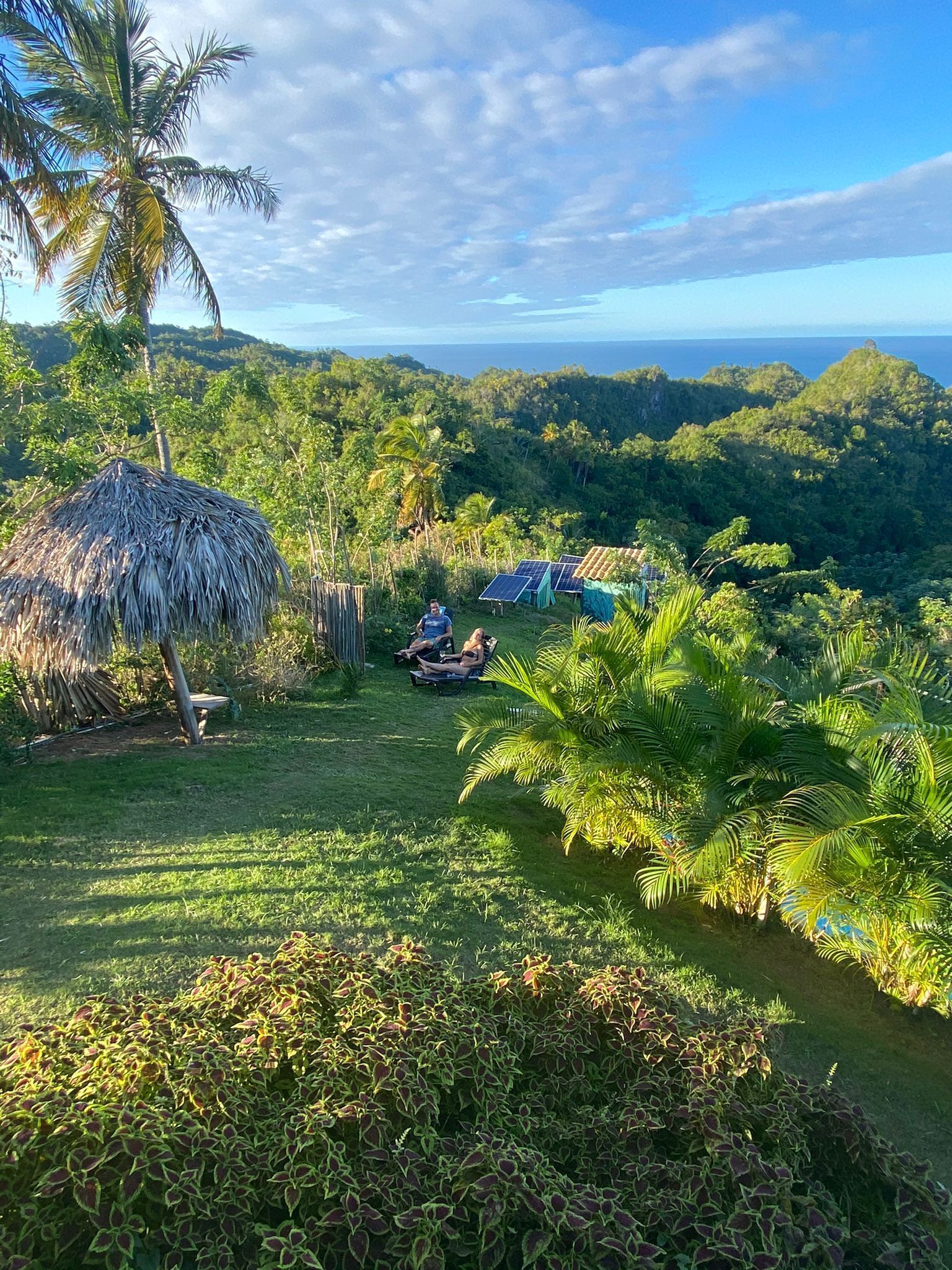 A lush, tropical landscape with a thatched-roof hut, a small pool, and solar panels.