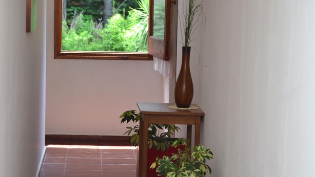 A hallway with a tiled floor, a wooden table with a vase and a potted plant, and a window with a view of greenery. - Alamos Hosteria (Mar Azul)