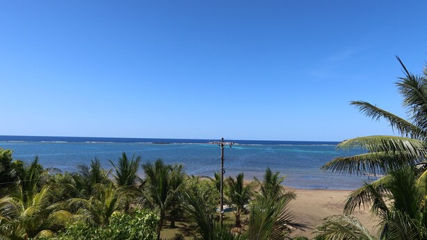 Ein Strand mit Palmen und einem strahlend blauen Himmel.