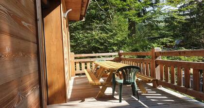 Chalet 14 personnes cĆur station skis aux pieds. ClassĂ© tourisme Handicap