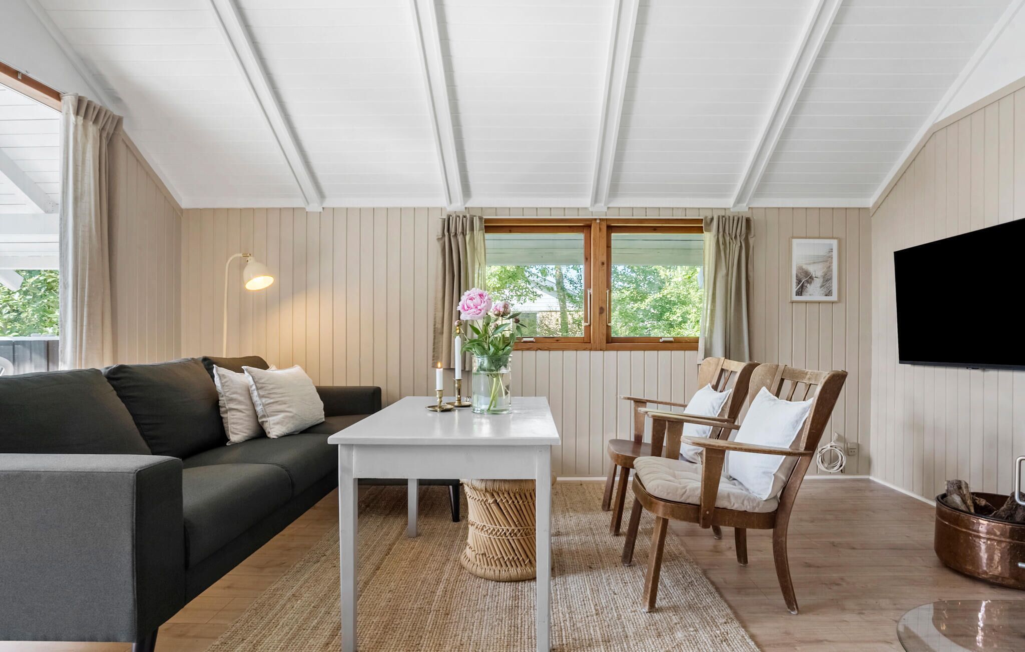 Smart-TV, Kamin