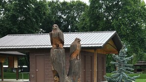 Rakennuksessa on metallikatto ja puinen julkisivu, ja sen ympärillä on maisemoituja puutarhoja, joissa on pensaita ja pieni puu.