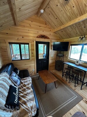 Smart TV, fireplace, DVD player - Amazing Star gazing Mountain View 2-bedroom cabin with AC, WiFi at Old Fields WV (Old Fields)