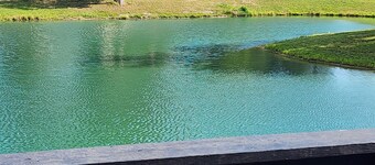 Lake Shelbyville Corn Crib is a Charming 2-bedroom house with fishing ponds