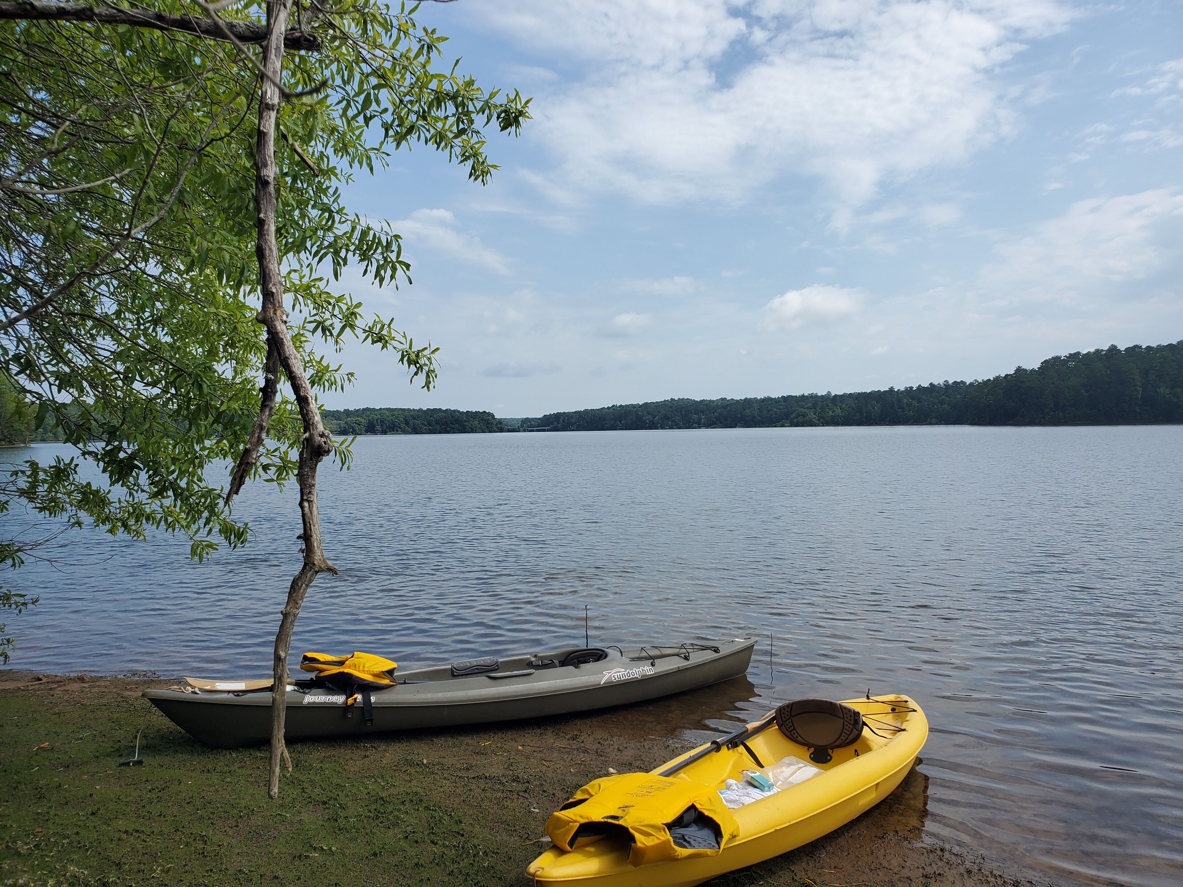 A calm lake with kayaks and a tree by the shore.