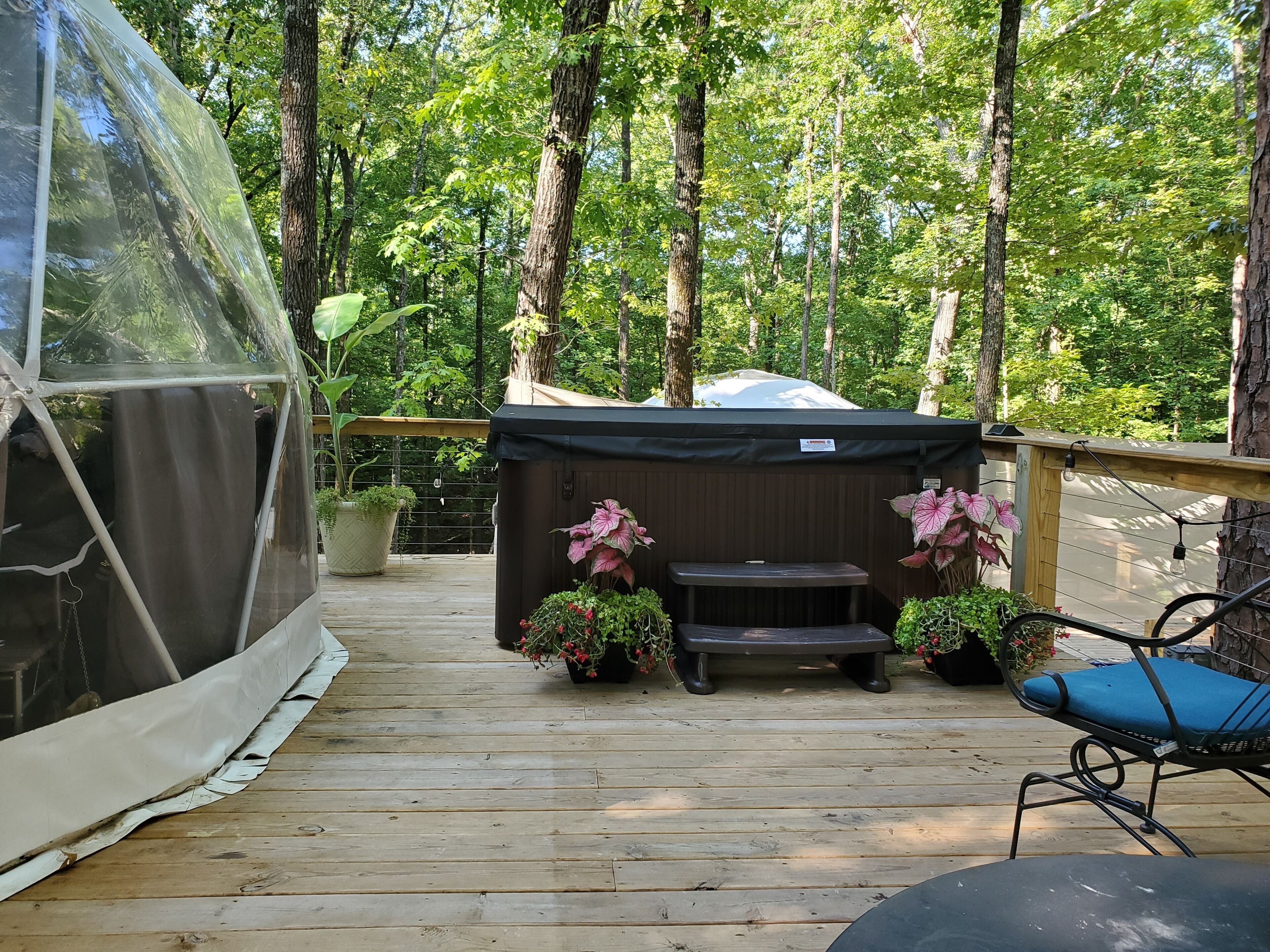 Deluxe Tent | Terrace/patio