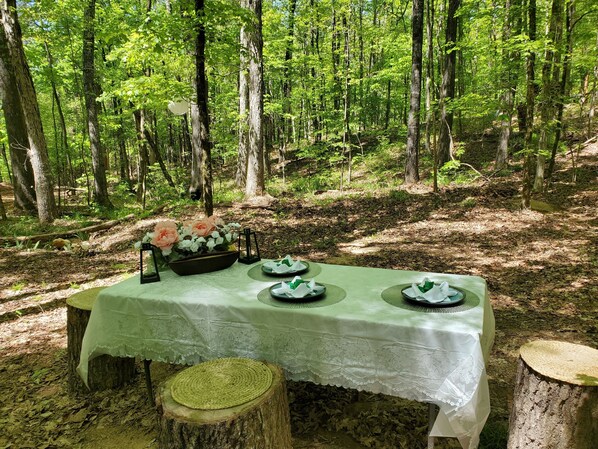 BBQ/picnic Area