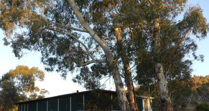 Forest Cottage – Relaxing bush stay. Pet friendly