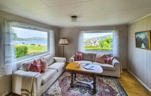 Smart-TV, Kamin