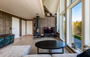 Smart TV y chimenea 