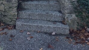 Unos escalones de piedra conducen a un muro de piedra, rodeado de árboles y césped.