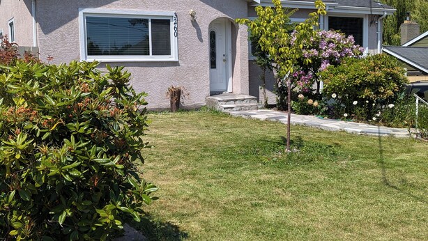 Una casa de un piso con fachada de piedra, una puerta principal y un pequeño jardín delantero con un árbol y arbustos.