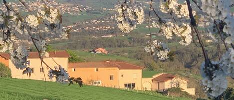 Overnatningsstedets område