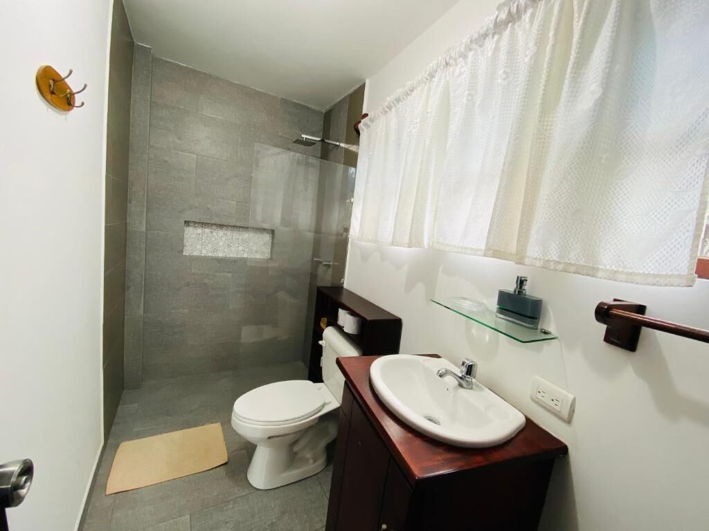 Shower, toilet paper