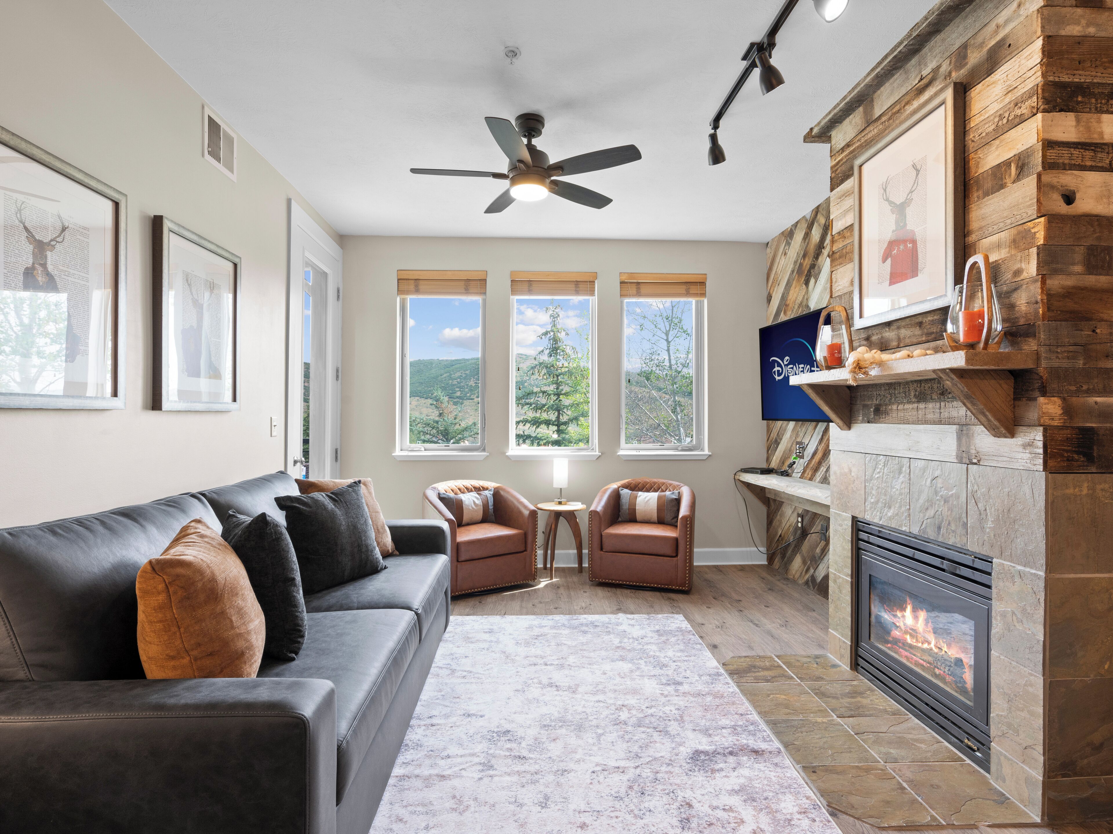 スマートテレビ、暖炉