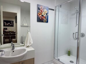 Hair dryer, towels - Luxury Penthouse-2 carparks-Tennis court (Auckland)