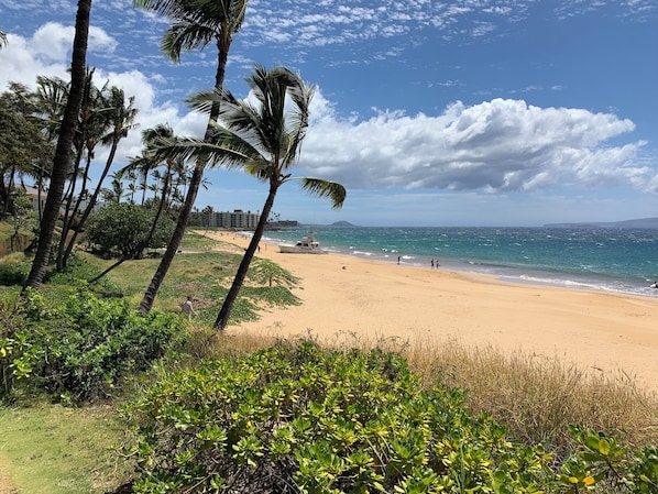 On the beach, sun loungers, beach towels