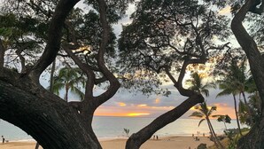 Une plage bordée de palmiers, avec un coucher de soleil.