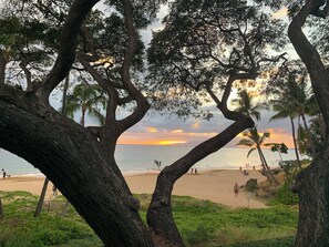 On the beach, sun loungers, beach towels