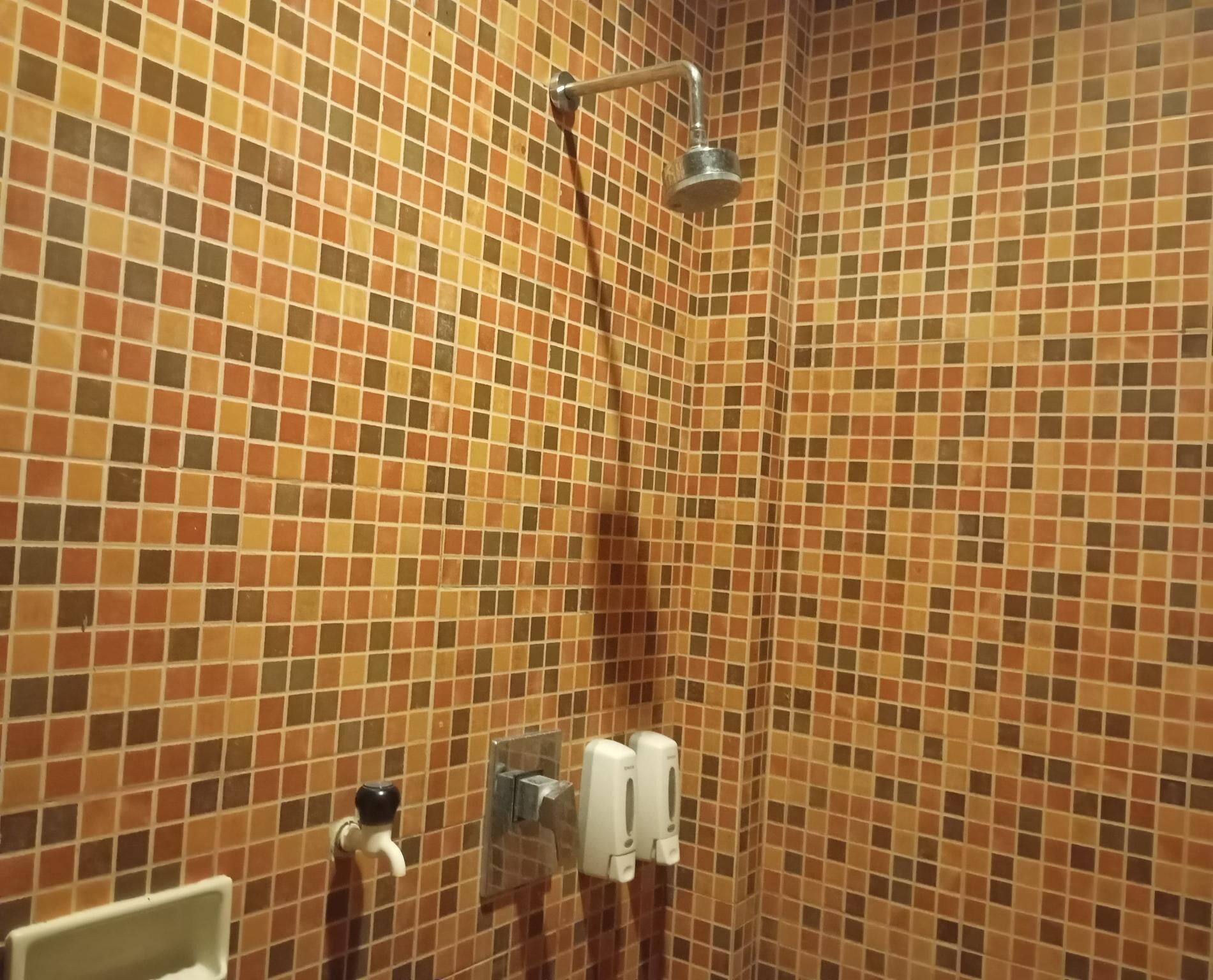 Een betegelde douche ruimte met een handdouche en zeepdispensers.