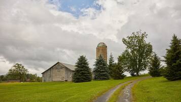 Terrein van de accommodatie