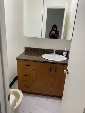 Shower, jetted bath, hair dryer, bidet