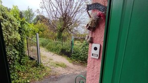 A green door with a 'Welcome' sign, a metal gate, and a pathway leading to a natural area with trees and bushes. - In the countryside, a cozy retreat for peaceful moments near Mount Vesuvius. (Torre del Greco)