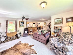 TV, fireplace, books