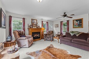 TV, fireplace, books