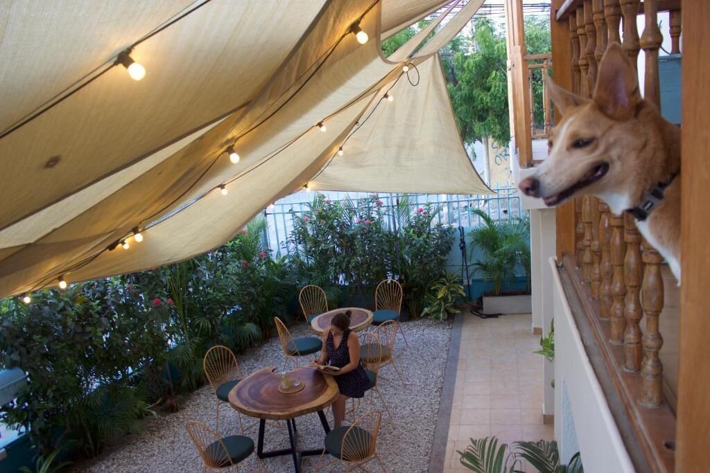 Deluxe Double Room | Terrace/patio