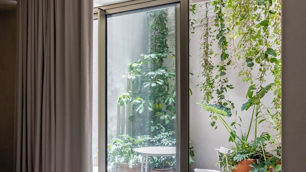 Design Studio Suite, 1 King Bed, Hot Tub, Ground Floor | View from room - Lamartine  (Mexico City)