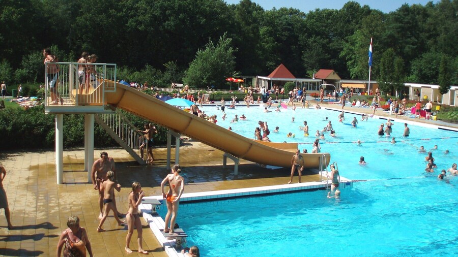 Chalet in Veluwe Near Forest Trails