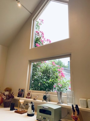 Luxury Cottage, 1 Bedroom, Kitchen, Garden View | Private kitchen | Coffee/tea maker, electric kettle