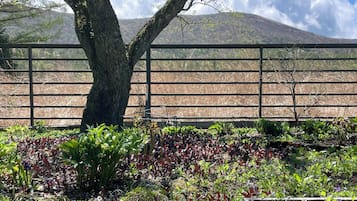 Luxury Cottage, 4 Bedrooms, Kitchen, Garden View | Garden view